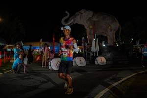 BIB: 
                            <button type="button" onclick="openModal(26552262)" class="btn btn-primary btn-sm float-right btn-popup" data-toggle="modal" data-target=".modal-high-quality">
                        <i class="fas fa-shopping-cart"></i> Add to Cart
                    </button>
                                            <button type="button" onclick="isThisMe(26552262, true)" class="btn btn-success btn-sm float-right btn-popup btn-isme hidden" data-toggle="tooltip" data-placement="bottom" title="นี่คือรูปของคุณใช่ไหม คลิกที่นี่เพื่อเอาเข้าอัลบั้ม">
                        <i class="fas fa-plus"></i> Add to album
                    </button>
                    <button type="button" onclick="isThisMe(26552262, false)" class="btn btn-warning btn-sm float-right btn-popup btn-isnotme hidden">
                        <i class="fas fa-ban"></i> Remove from album
                    </button>